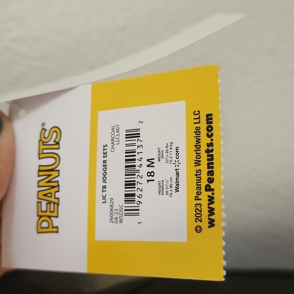 Peanuts 2 Piece Toddler Sweat Shirt and Sweat Pants - Picture 3 of 4